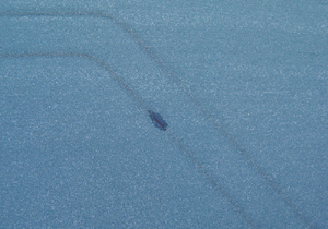 fejl bagrude fejl bagrude